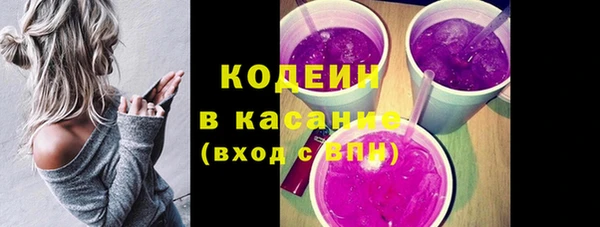 шишки Баксан