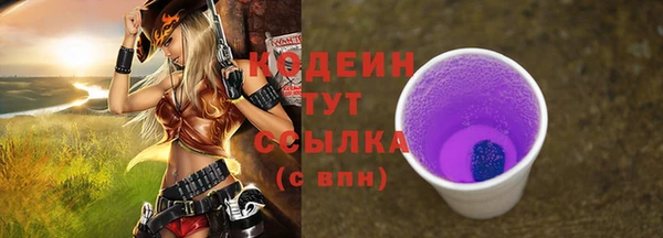шишки Баксан