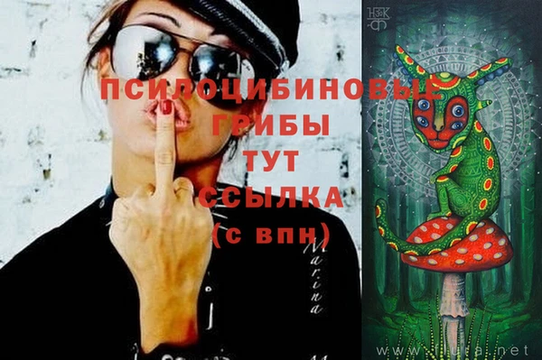 мяу мяу мука Балабаново