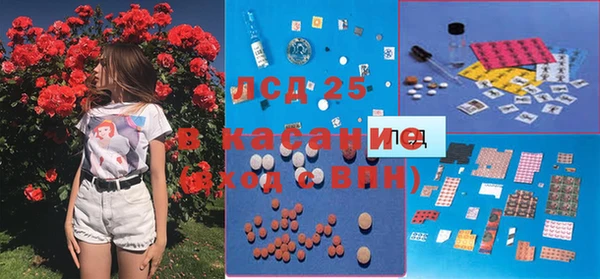 шишки Баксан