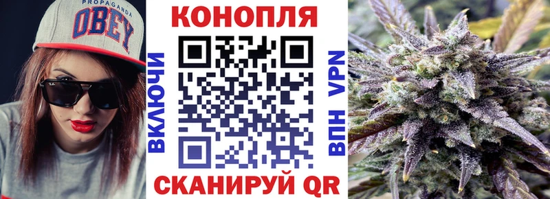 наркотики  Поворино  Марихуана план 